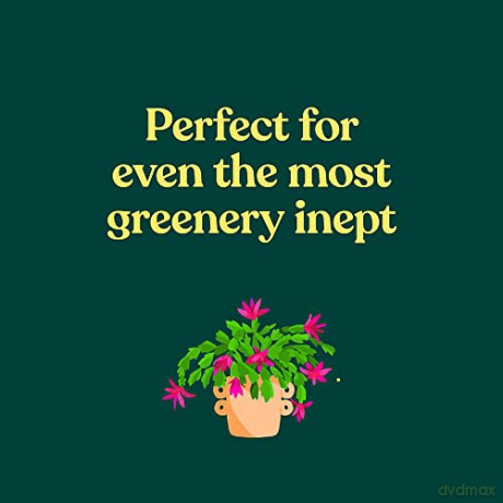 Green Dumb Guide To Houseplants - Holly Theisen-Jones [KSIĄŻKA]