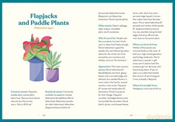 Green Dumb Guide To Houseplants - Holly Theisen-Jones [KSIĄŻKA]