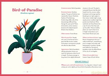 Green Dumb Guide To Houseplants - Holly Theisen-Jones [KSIĄŻKA]