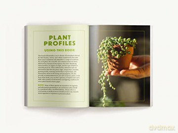How To Keep Your Plants Alive 50 Plants - Cider Mill Press [KSIĄŻKA]