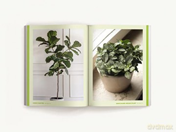 How To Keep Your Plants Alive 50 Plants - Cider Mill Press [KSIĄŻKA]