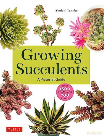 Growing Succulents - Tanabe Shoichi [KSIĄŻKA]