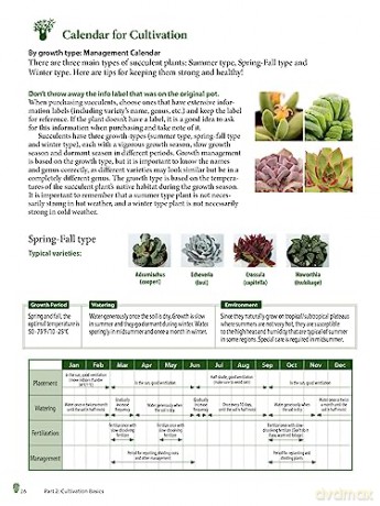Growing Succulents - Tanabe Shoichi [KSIĄŻKA]