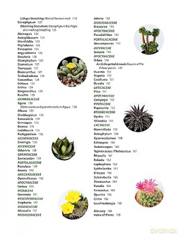 Growing Succulents - Tanabe Shoichi [KSIĄŻKA]