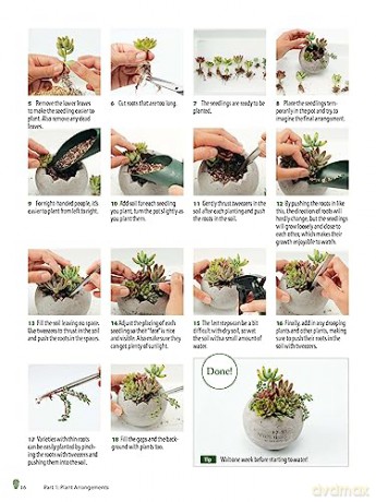 Growing Succulents - Tanabe Shoichi [KSIĄŻKA]