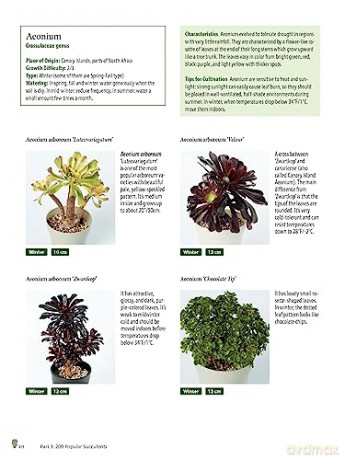 Growing Succulents - Tanabe Shoichi [KSIĄŻKA]