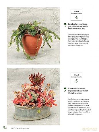 Growing Succulents - Tanabe Shoichi [KSIĄŻKA]
