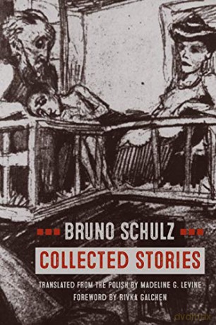 Collected Stories - Bruno Schulz [KSIĄŻKA]