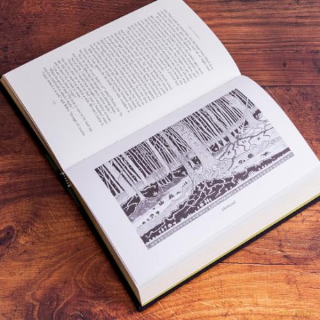 Hobbit Illustrated Deluxe Edition - J R R Tolkien [KSIĄŻKA]