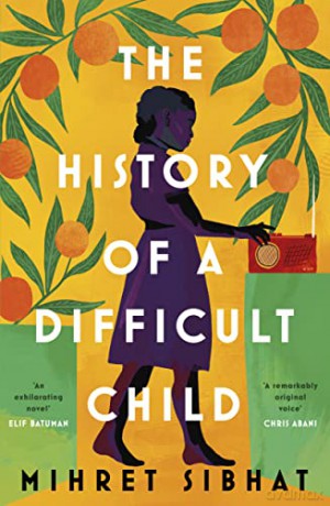 History Of A Difficult Child - Mihret Sibhat [KSIĄŻKA]