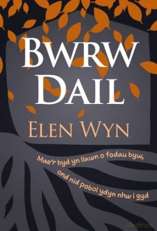 Bwrw Dail - WynElen [KSIĄŻKA]