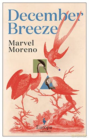 December Breeze - Marvel Moreno [KSIĄŻKA]