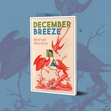 December Breeze - Marvel Moreno [KSIĄŻKA]