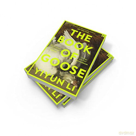 Book Of Goose - Yiyun Li [KSIĄŻKA]