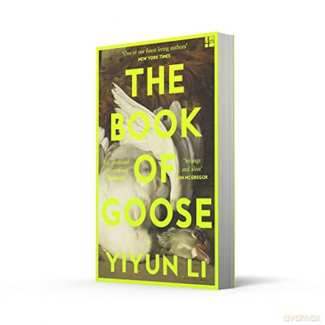 Book Of Goose - Yiyun Li [KSIĄŻKA]