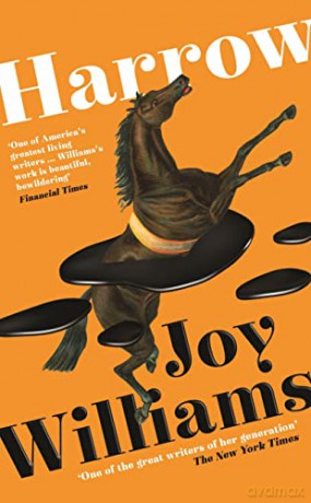 Harrow - Joy Williams [KSIĄŻKA]