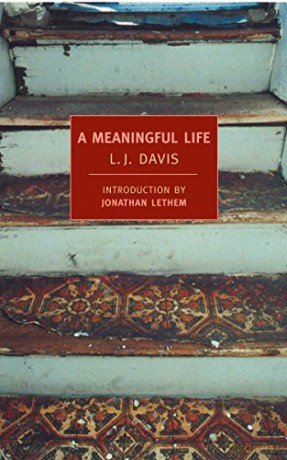A Meaningful Life - L J Davis [KSIĄŻKA]