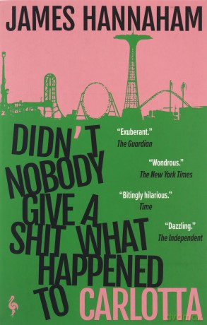 Didnt Nobody Give A Shit What Happened - James Hannaham [KSIĄŻKA]