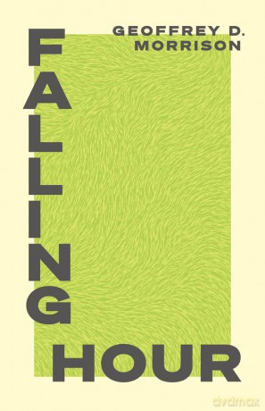Falling Hour [KSIĄŻKA]