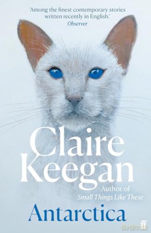 Antarctica - Claire Keegan [KSIĄŻKA]