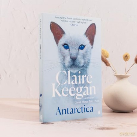 Antarctica - Claire Keegan [KSIĄŻKA]