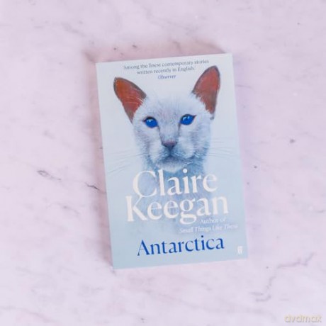 Antarctica - Claire Keegan [KSIĄŻKA]