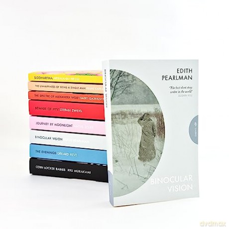 Binocular Vision - Edith Pearlman [KSIĄŻKA]