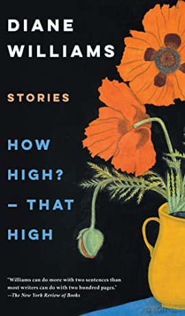 How High That High - Diane Williams [KSIĄŻKA]