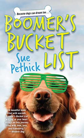 Boomers Bucket List - Sue Pethick [KSIĄŻKA]