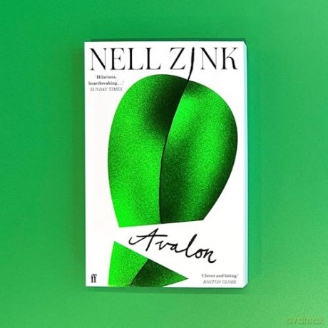 Avalon - Nell Zink [KSIĄŻKA]
