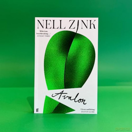 Avalon - Nell Zink [KSIĄŻKA]