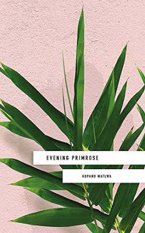 Evening Primrose - Kopano Matlwa [KSIĄŻKA]