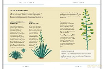 A Field Guide To Tequila - Clayton Szczech [KSIĄŻKA]