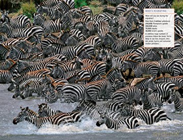 African Safaris - Fodors Travel Guides [KSIĄŻKA]