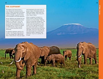 African Safaris - Fodors Travel Guides [KSIĄŻKA]