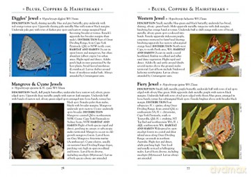 Butterflies Of Australia - Peter Rowland [KSIĄŻKA]