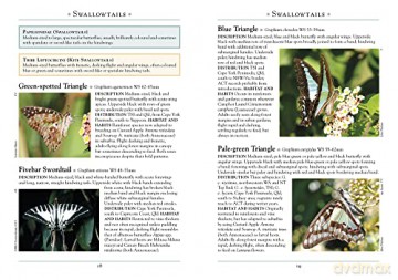 Butterflies Of Australia - Peter Rowland [KSIĄŻKA]