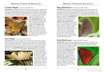 Butterflies Of Australia - Peter Rowland [KSIĄŻKA]