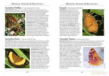 Butterflies Of Australia - Peter Rowland [KSIĄŻKA]