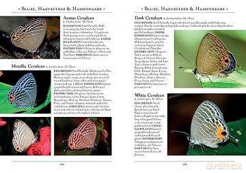 Butterflies Of The Philippines - Jade Badon [KSIĄŻKA]