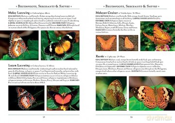 Butterflies Of The Philippines - Jade Badon [KSIĄŻKA]