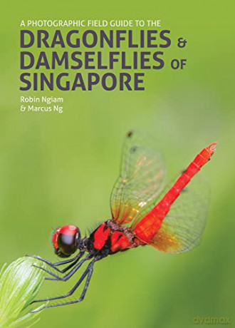 Dragonflies Damselflies Of Singapore - NgiamRobin [KSIĄŻKA]