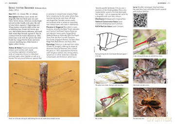 Dragonflies Damselflies Of Singapore - NgiamRobin [KSIĄŻKA]