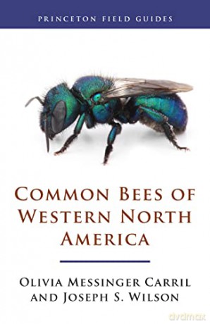 Common Bees Of Western North America [KSIĄŻKA]