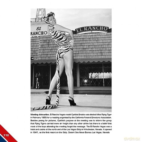 Flying Tiger Archives - Guy Van Herbruggen [KSIĄŻKA]