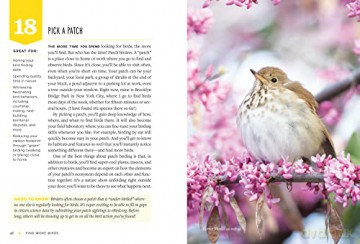 Find More Birds - Heather Wolf [KSIĄŻKA]