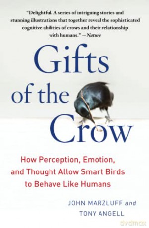 Gifts Of The Crow - John Marzluff [KSIĄŻKA]