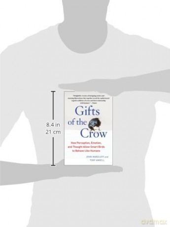 Gifts Of The Crow - John Marzluff [KSIĄŻKA]