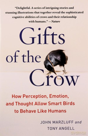 Gifts Of The Crow - John Marzluff [KSIĄŻKA]