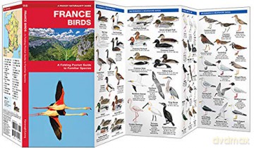 France Birds - James Kavanagh [KSIĄŻKA]